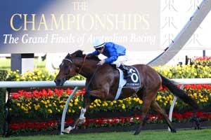 The Championships-ItsSomewhat 