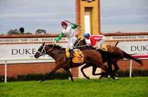 Wagga Racecourse 