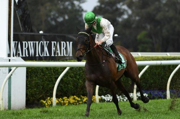 Warwick-Farm-Finish2.jpg