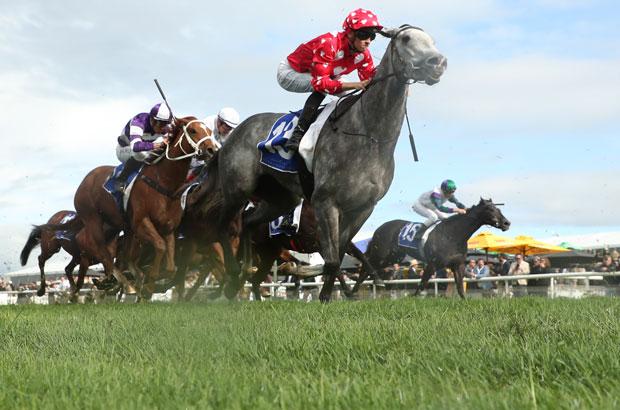 country-racing15.jpg